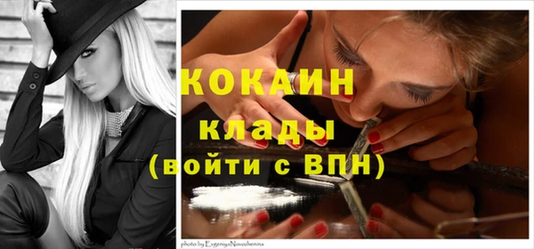 индика Алексеевка