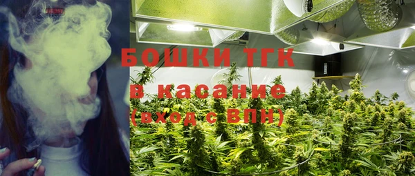 индика Алексеевка